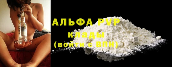 шишки Новокубанск