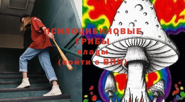 шишки Новокубанск