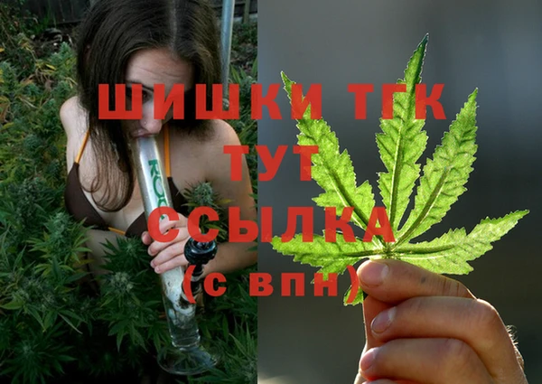 мдпв Новодвинск