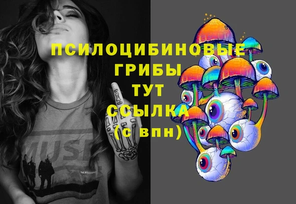 соль курить ск Новозыбков
