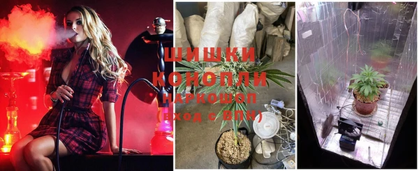 соль курить ск Новозыбков