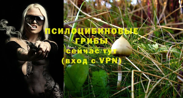 шишки Новокубанск