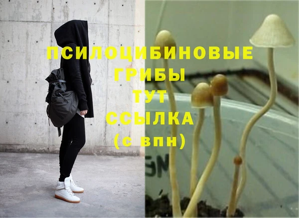 мдпв Новодвинск
