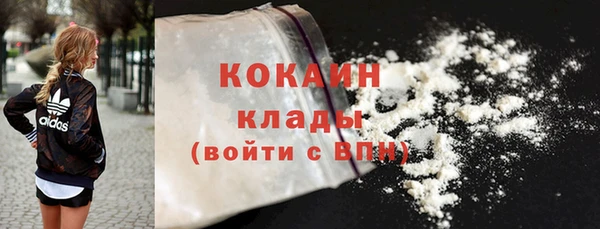 шишки Новокубанск
