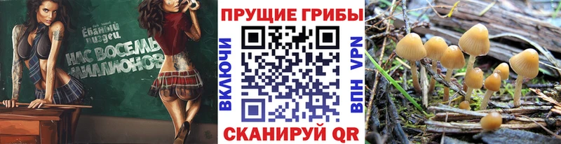 Галлюциногенные грибы мицелий гидра онион Пермь
